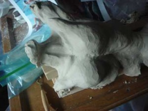 Swimmer: detail of upper torso