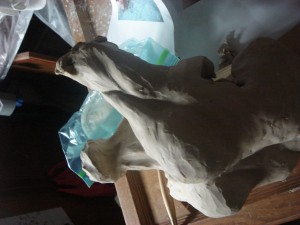 Swimmer: Detail of arm and Neck