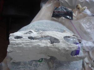 First phase of Driftwood